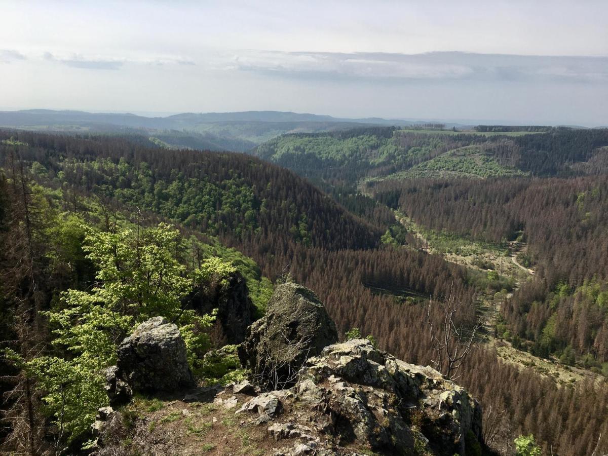 Bergwelt Braunlage Apartment Bagian luar foto