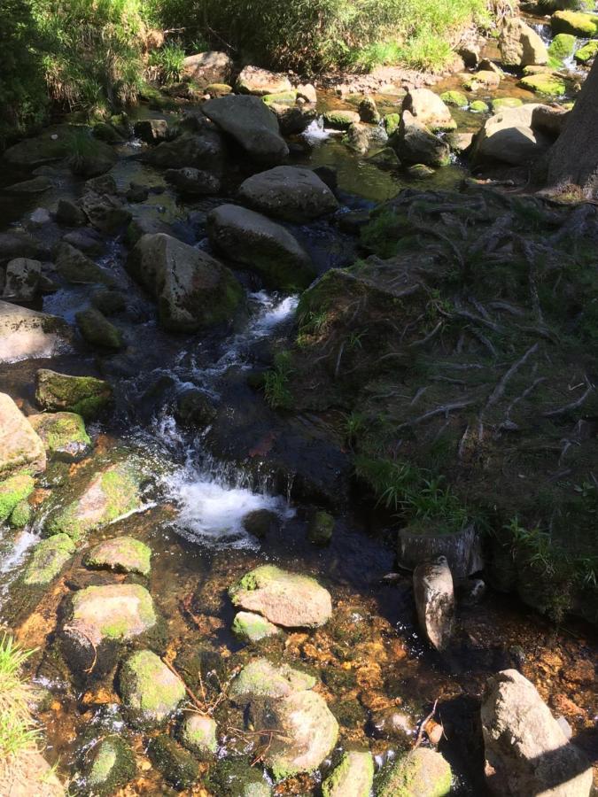 Bergwelt Braunlage Apartment Bagian luar foto